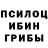 ТГК гашишное масло Mitchell ROBERTSON