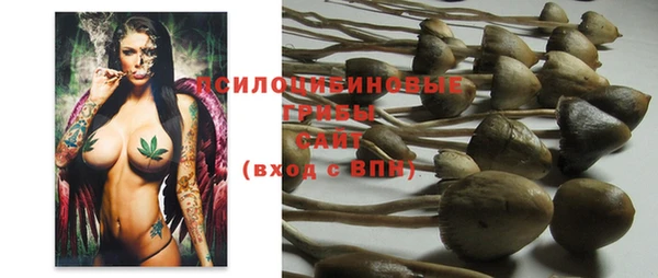 эйфоретик Пересвет