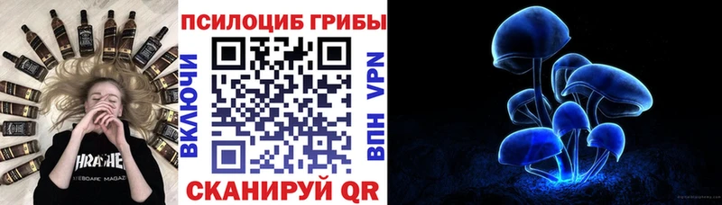 Галлюциногенные грибы прущие грибы  наркошоп  Дубна 
