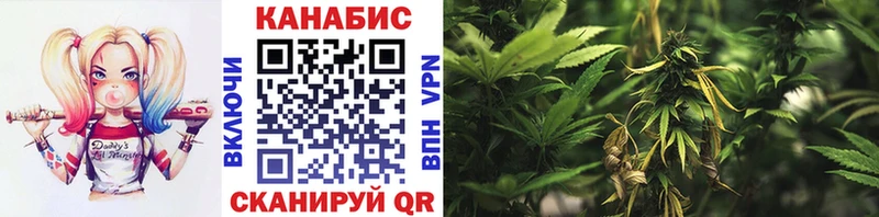 МАРИХУАНА White Widow  Дубна 